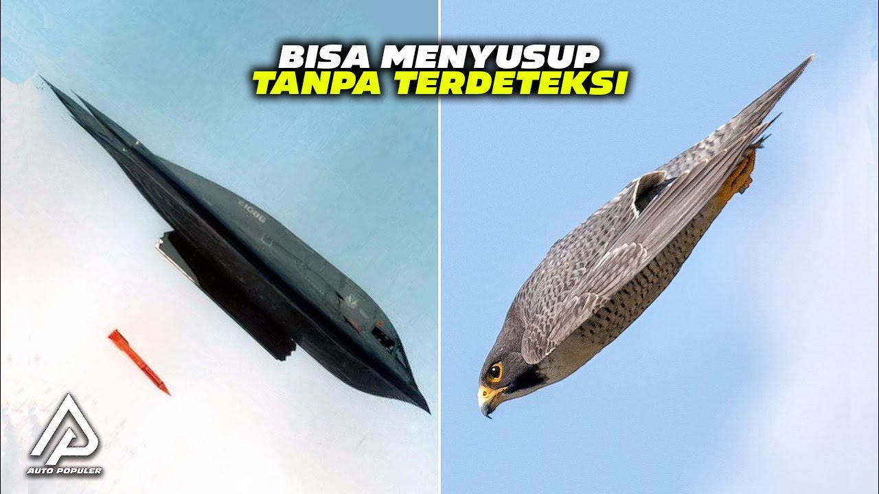 PEMUSNAH MASSAL PENYEBAB KIAMAT DARI AMERIKA! Lihat Canggihnya Pesawat Siluman Northrop B2 Spirit!