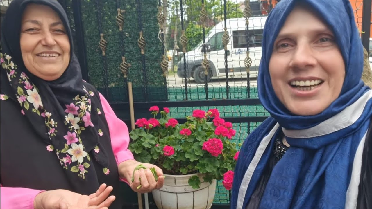Begonvil Kraliçesi Perihan Ablamızdan Haberler