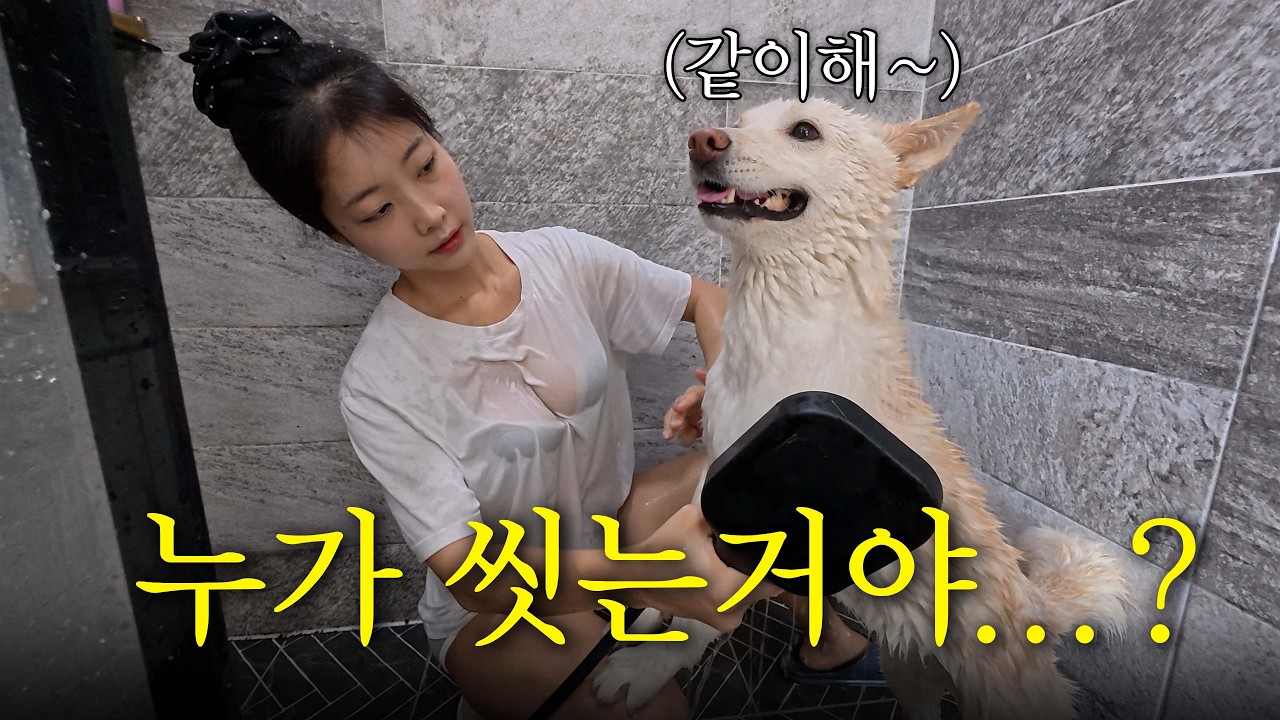 개 목욕시킬 때는 싹다 벗고 하고 싶다...