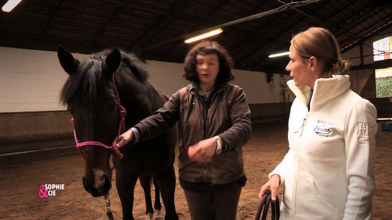 Votre cheval en mode streching - Equidia Life
