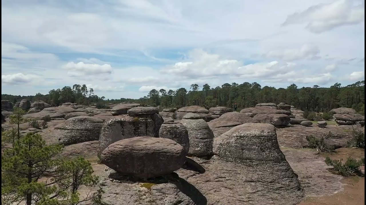 Mexiquillo