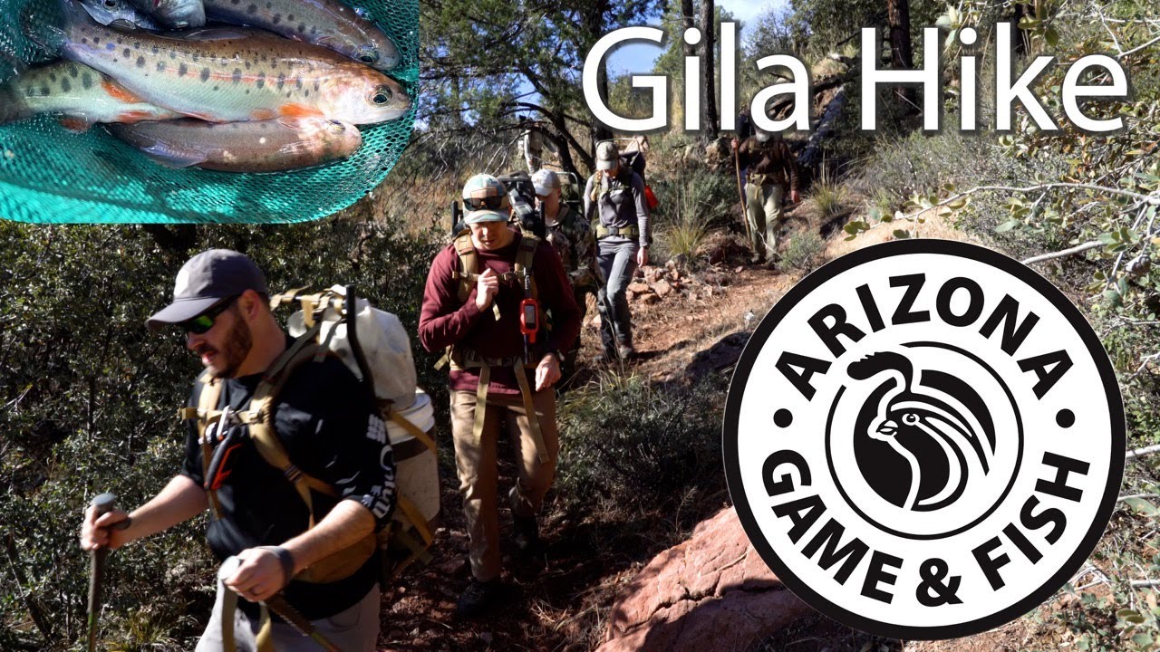 Hike Delivers Gila Trout to Raspberry Creek