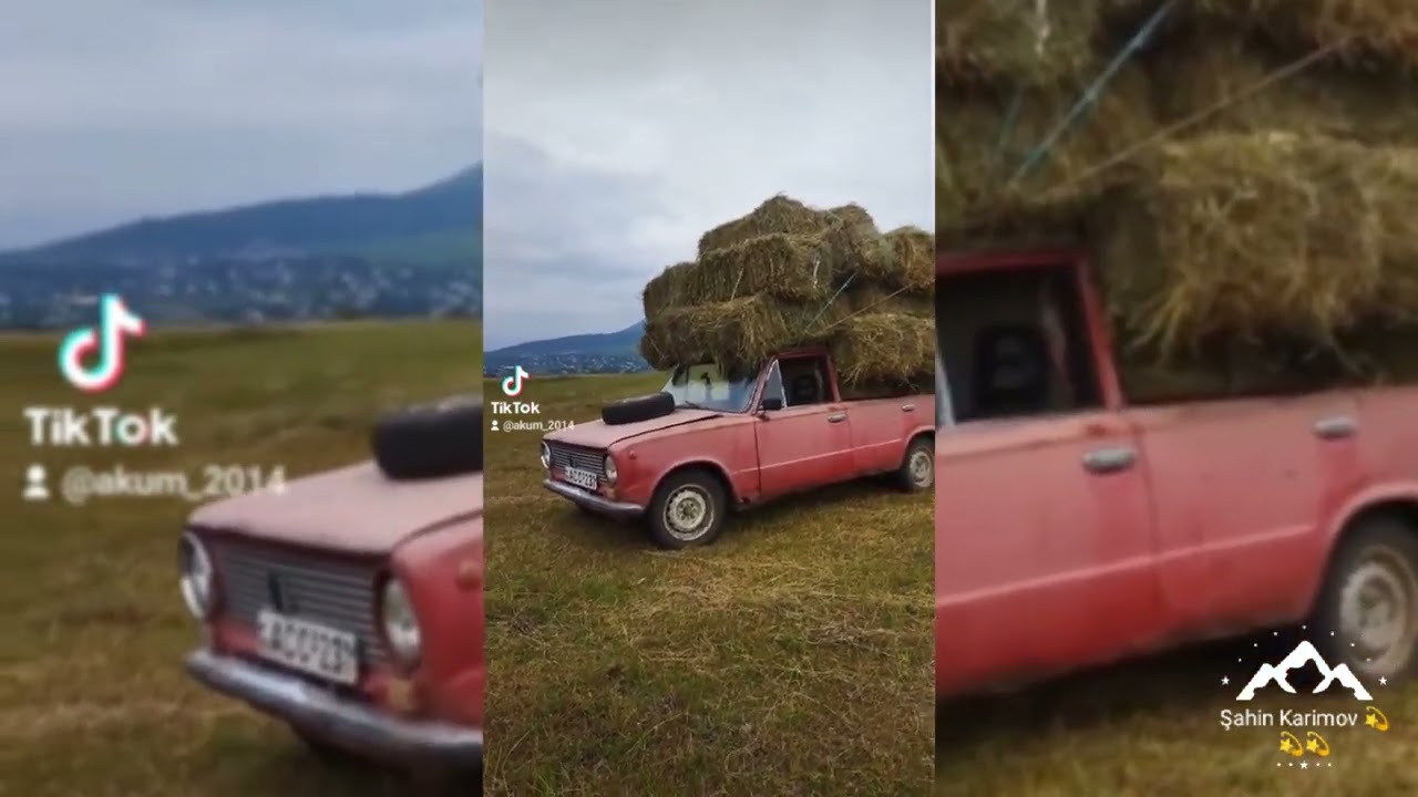 dmanisi deller kendi 💫💫💫✨👑✨