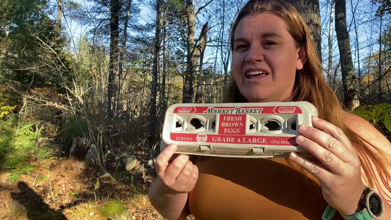 Farm Rules - Selling Chicken Eggs