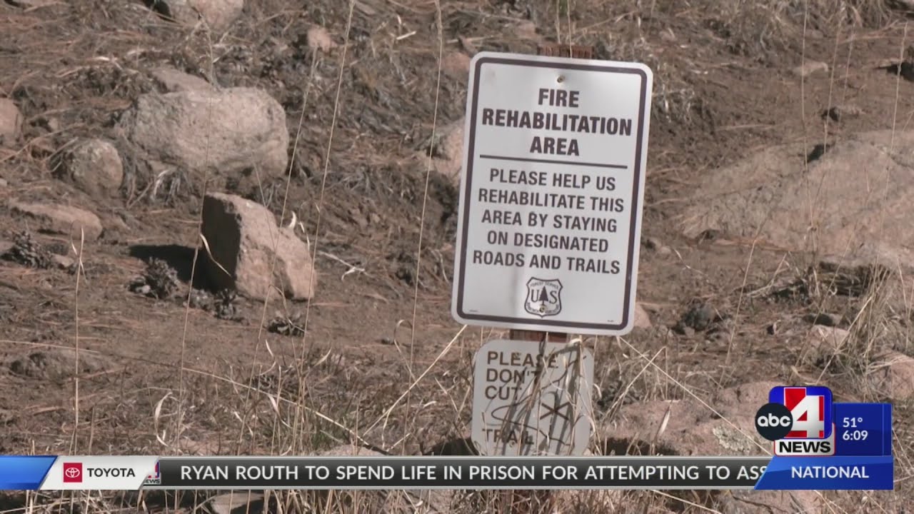 Pine Valley Recreation Area updates recovery process following devastating Forsyth fire