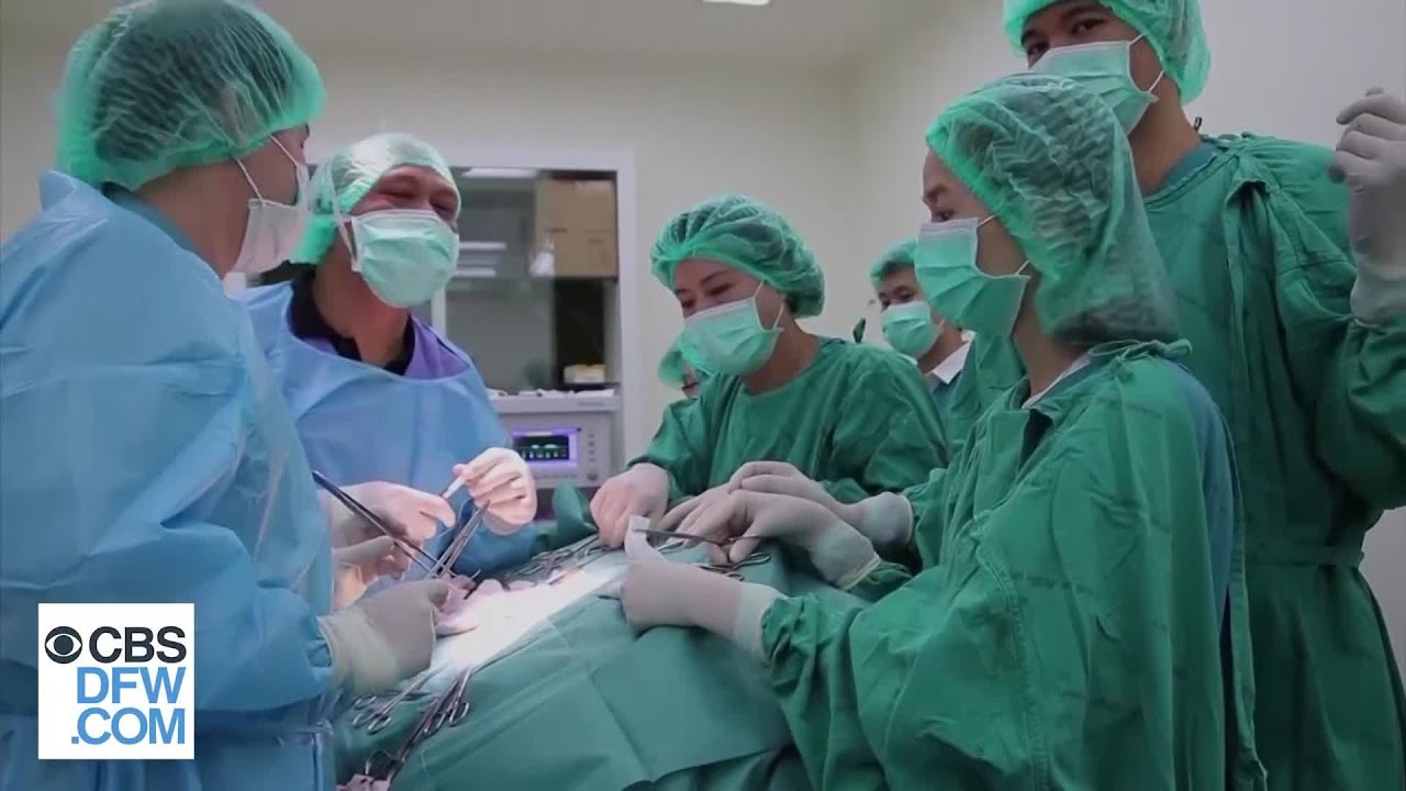 Surgeons Remove 915 Coins Swallowed By Sea Turtle
