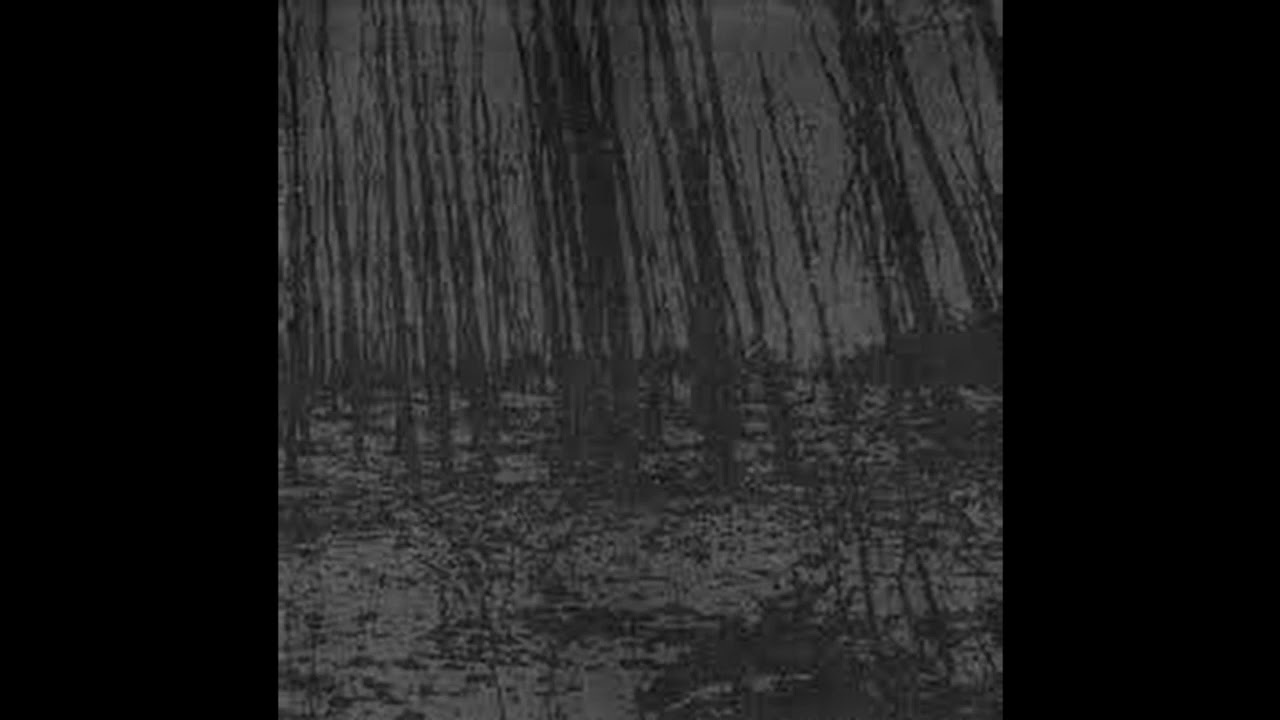 Psykotisk / Vredgad  (Split Album)