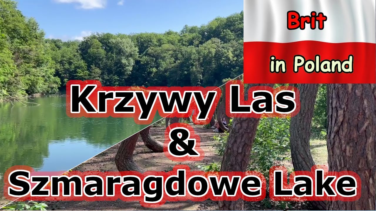 Emerald Lake & the Crooked Forest: Poland’s Strangest Blue & Twisted Wonders