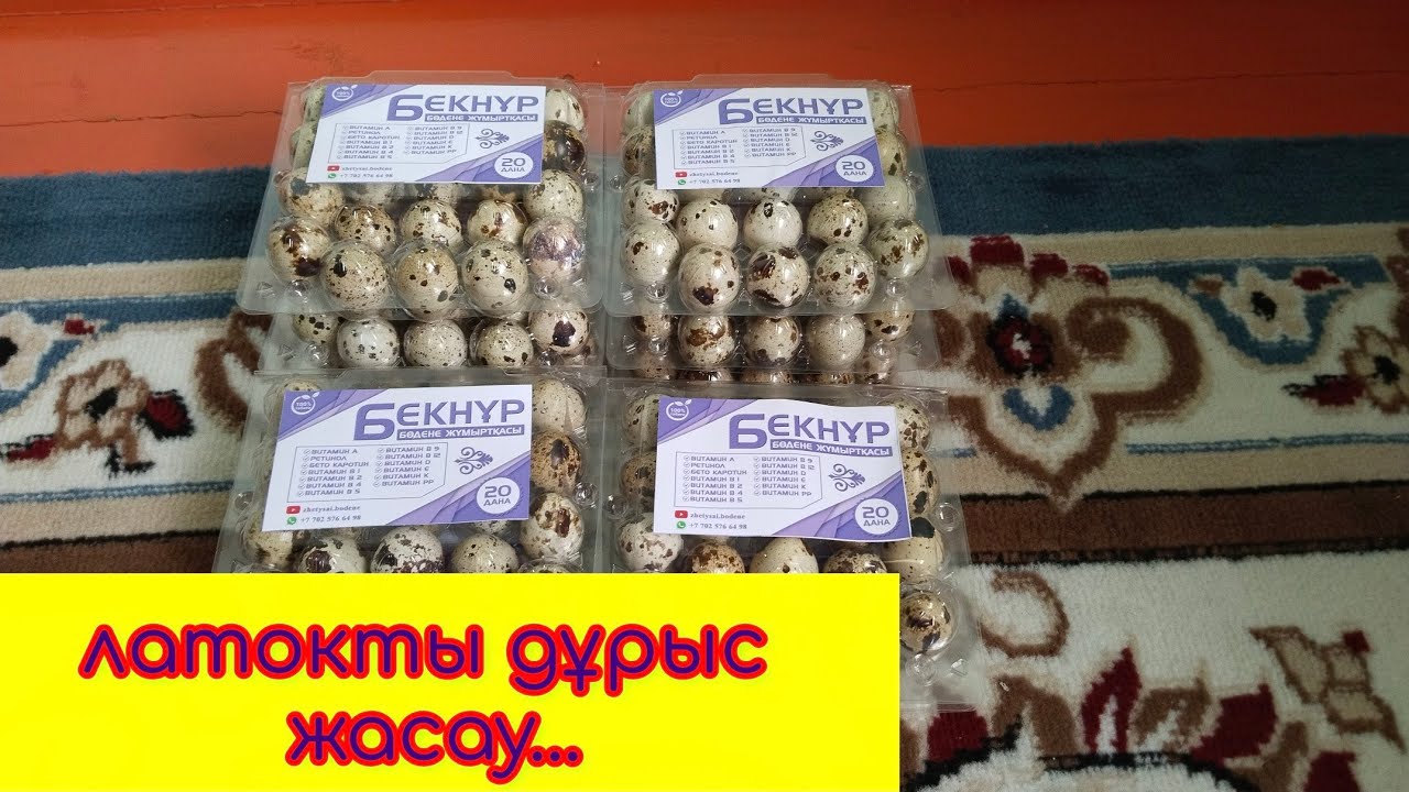 Жұмыртқа өнімдерін қалай тез сатамыз|бәсекелестермен айырмашылық қандай