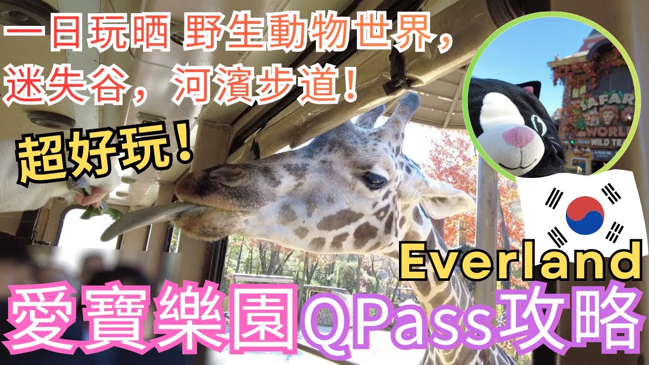 【韓國首爾】愛寶樂園Everland，QPass一日玩晒野生動物世界，迷失谷，河濱步道，Kpop獵魔女團，可愛雙胞胎熊貓睿寶輝寶！介紹2025年最新遊樂設施攻略+費用！萌萌隨意門！ #廣東話 #粵語
