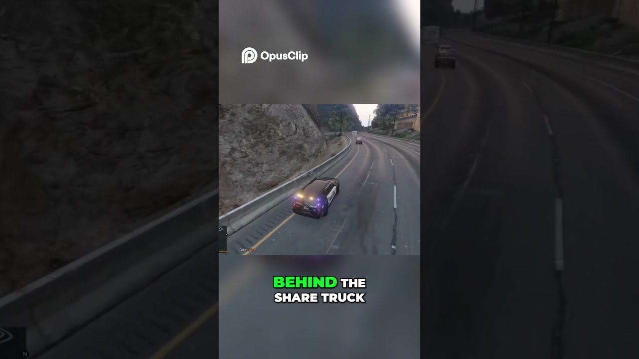 Police Pursuit  Suspect Cornered with Air & Ground Support