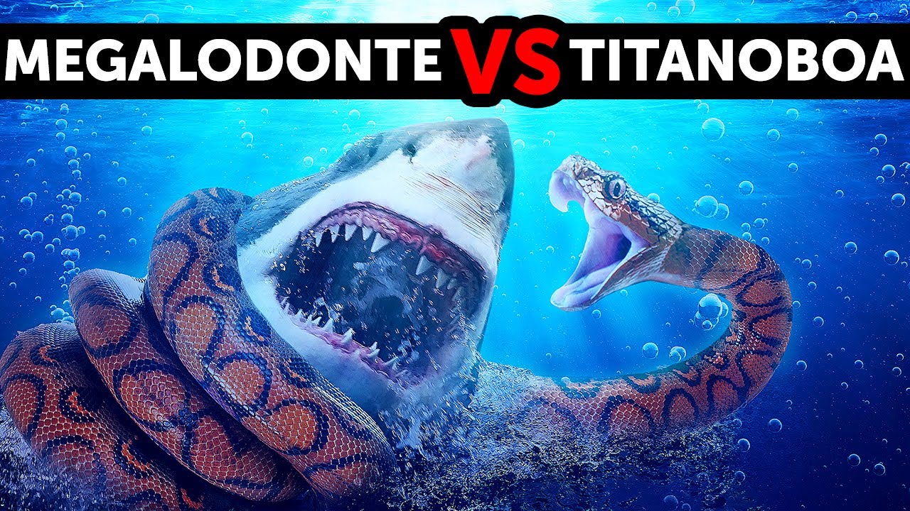 Sfida Tra Giganti: Megalodonte VS Titanoboa