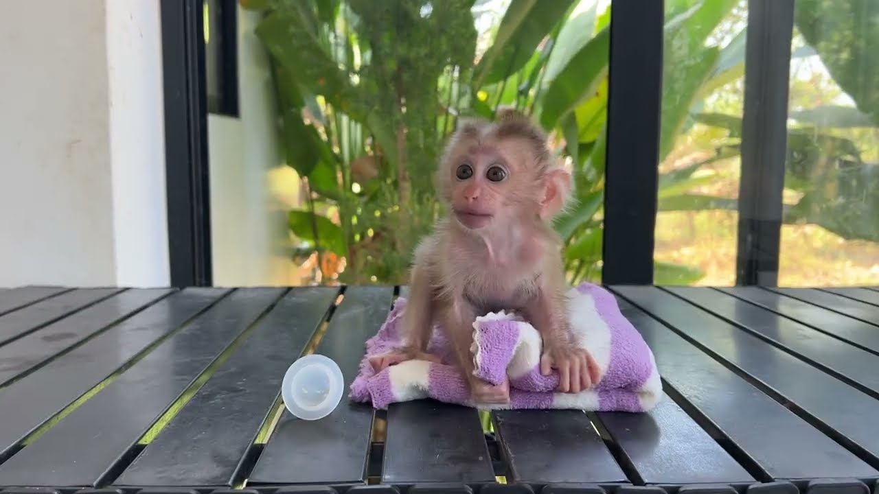 Waiting Dad................😍😍