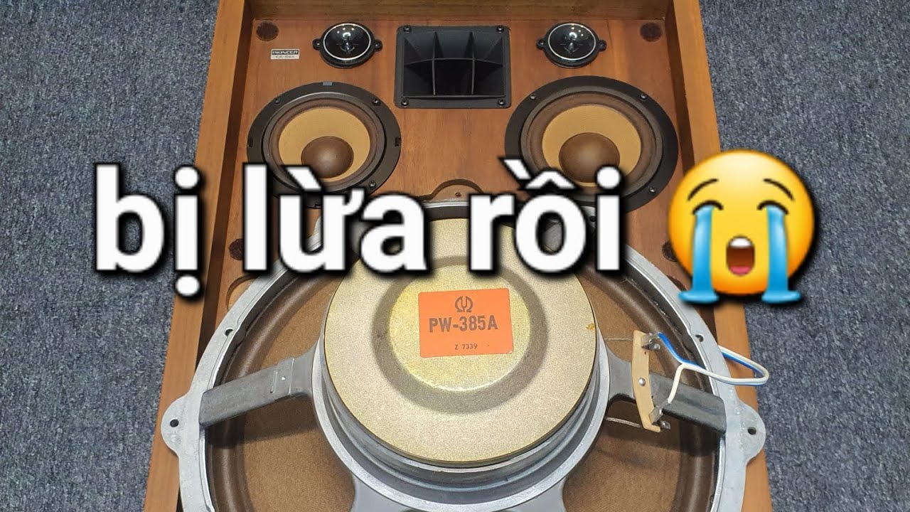 tôi đã bị lừa khi mua loa pioneer cs-99a lh: sđt/zalo 082.774.1111