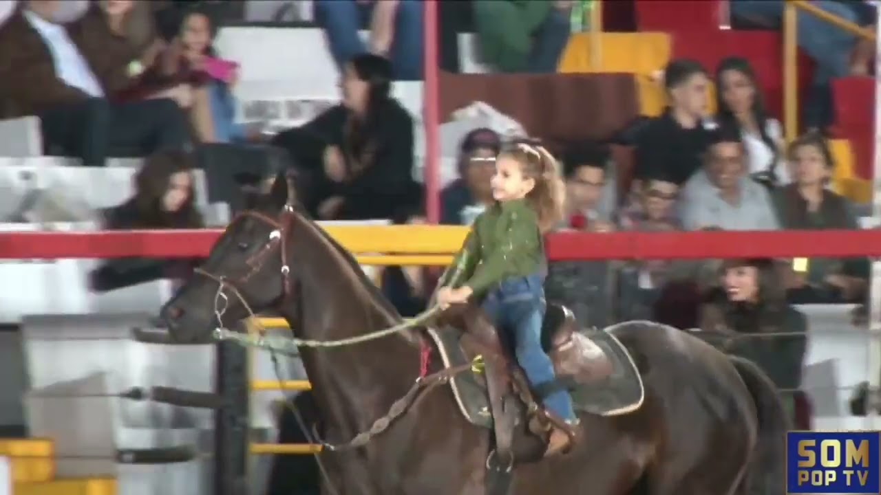 Final completa categoria fraldinha Paulo de Faria 2025 #rodeio #festadopeão #trêstambores