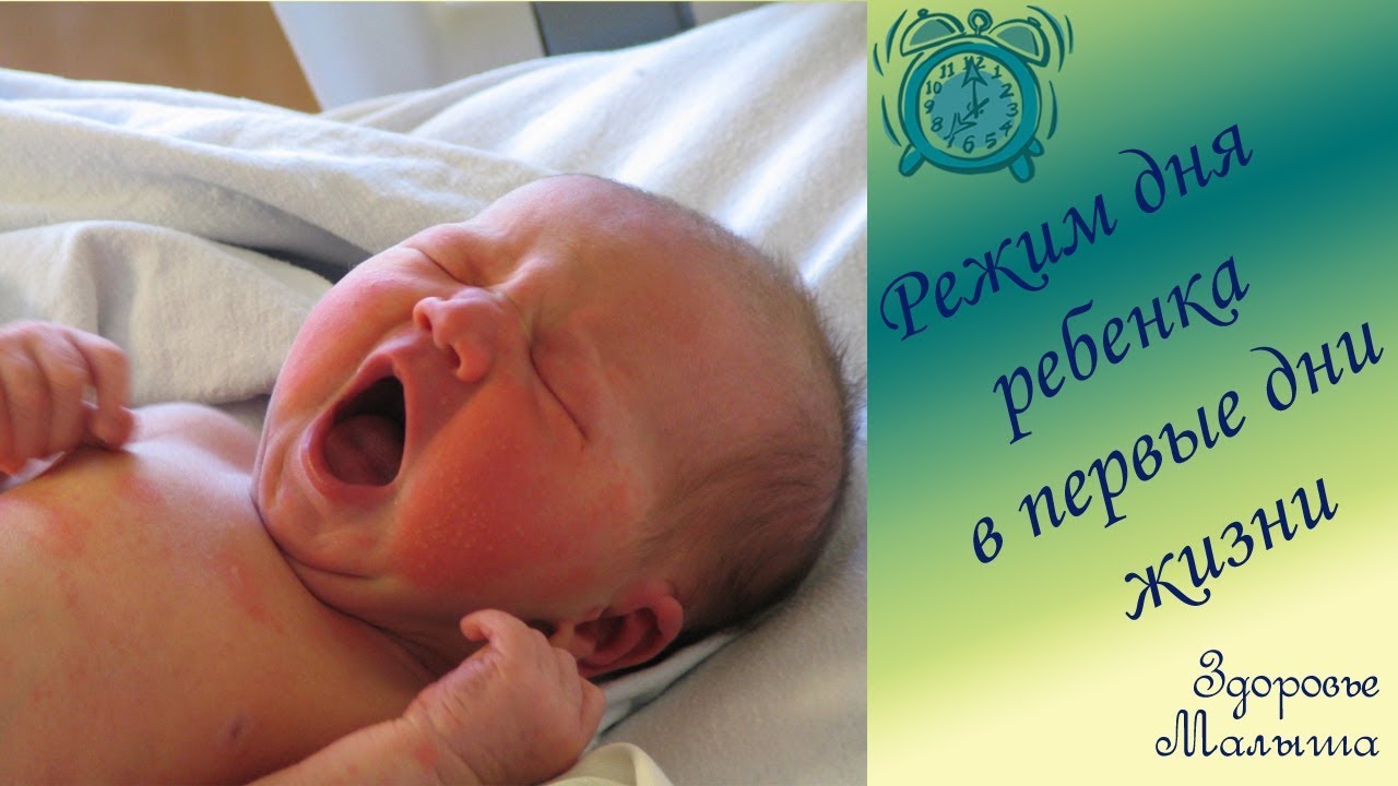 Режим дня новорожденного ребенка в первые дни жизни
