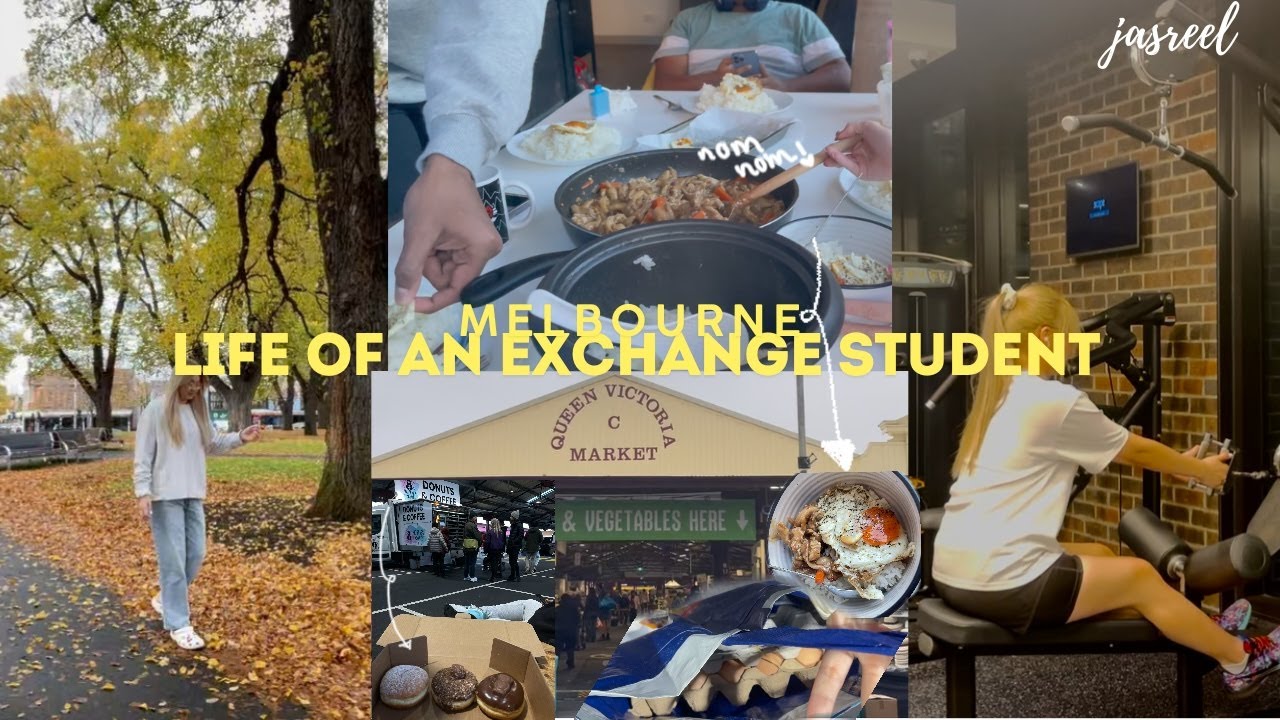 MELBOURNE VLOG EP 10 | life of an exchange student | productive studies | gym | 𐙚 ˚