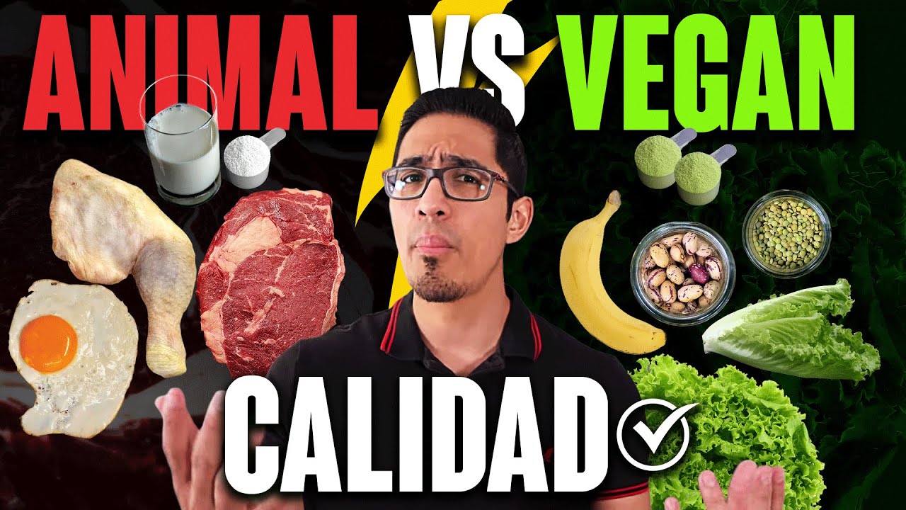 PROTEÍNA ANIMAL vs VEGETAL: ¡NO son IGUALES! ❌