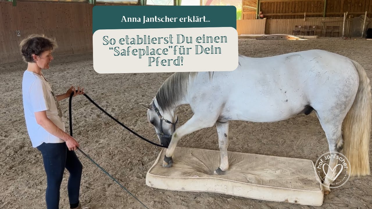 So etablierst Du einen Safeplace für Dein Pferd - Anna Jantscher Herz und Hirn Pferdetraining