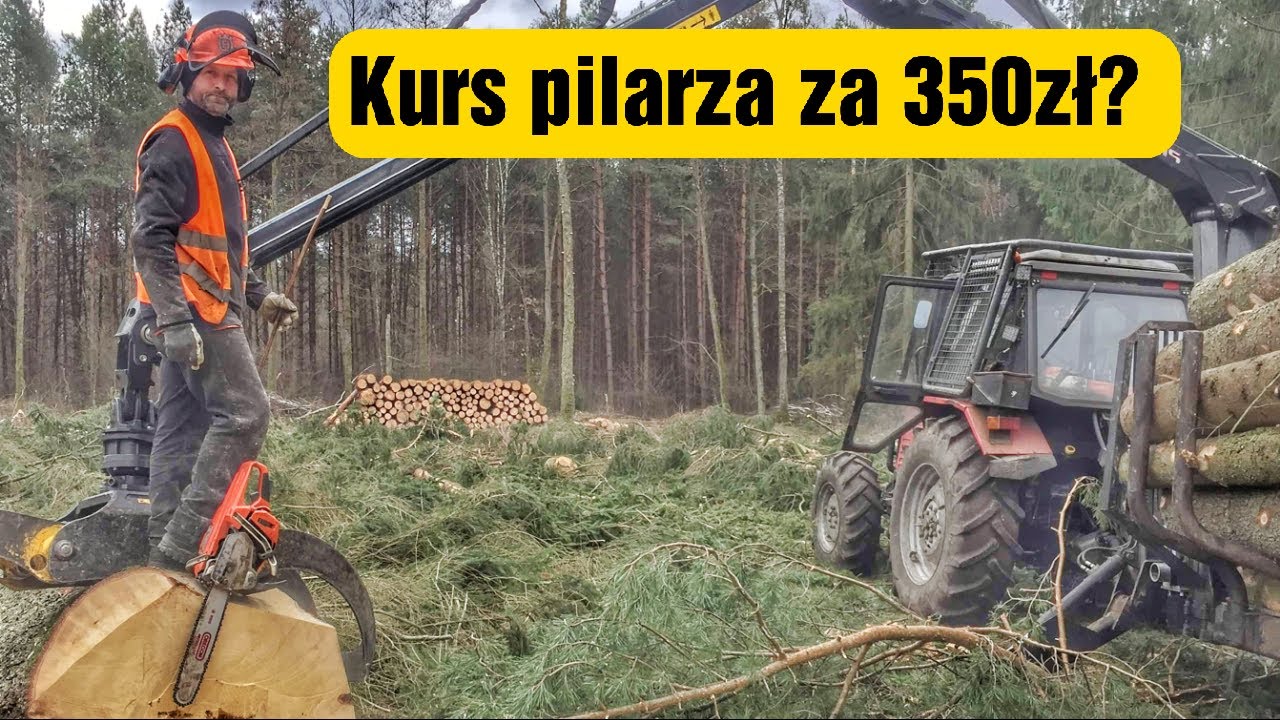 Kurs pilarza za 350zł? || Okiem ZULa