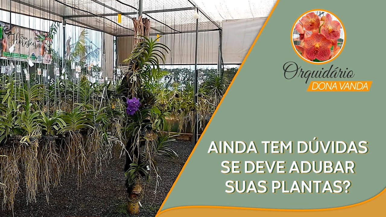 Ainda tem dúvidas se deve adubar suas plantas?  | Orquidário Dona Vanda