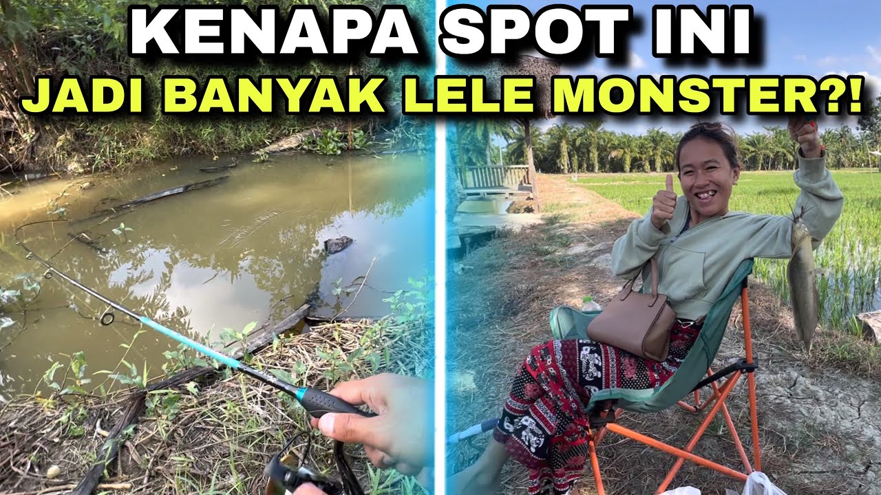 TARIKAN IKAN LELE MONSTER INI BIKIN KEWALAHAN!