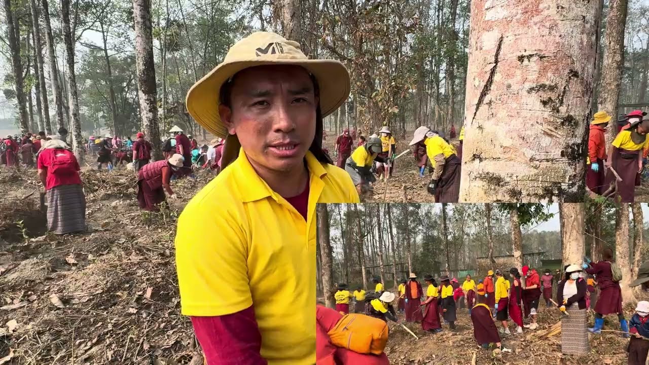 Dhokar gewok 
