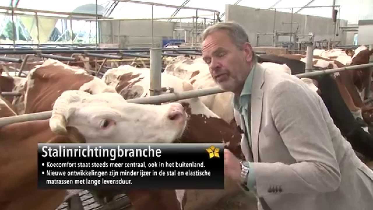 Agriprom branchwinnaar Stalinrichting