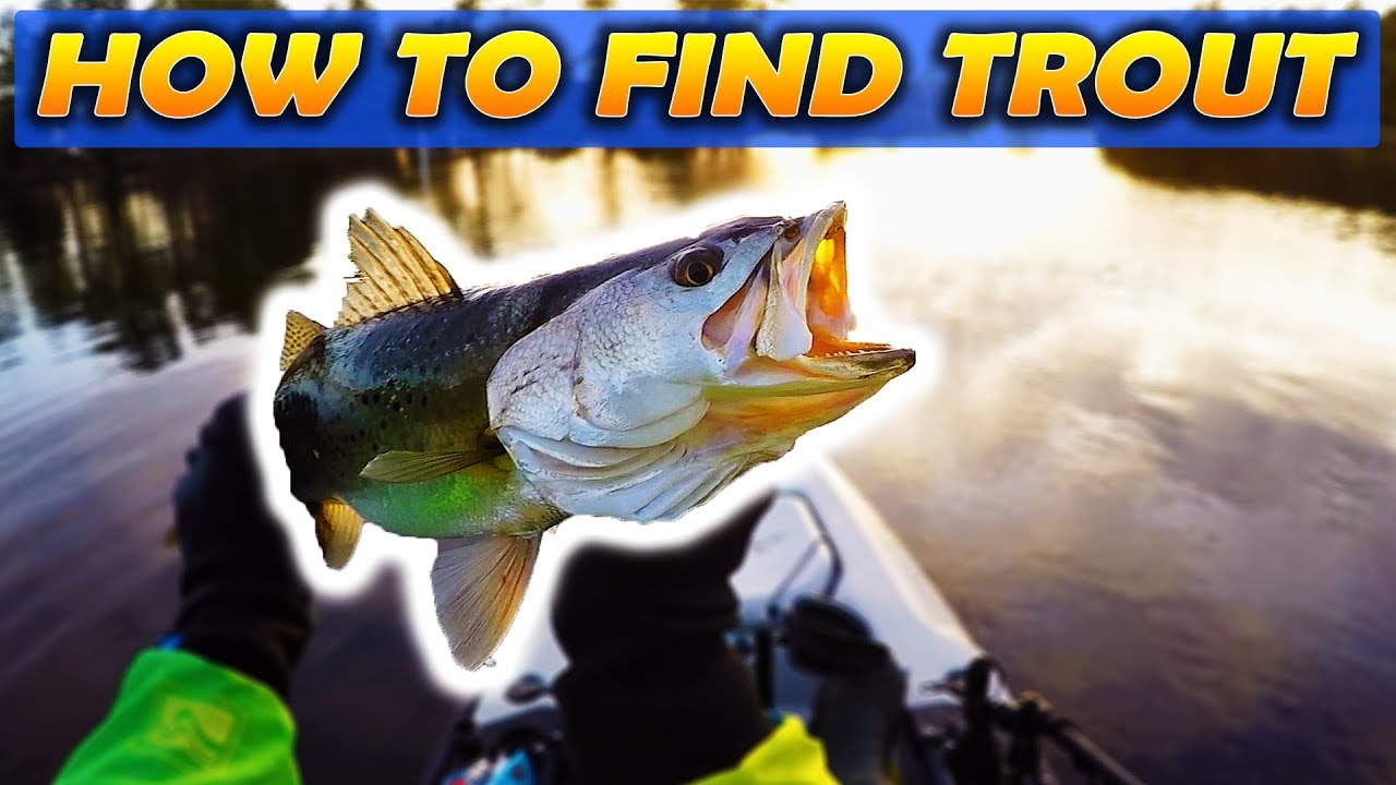 Neuse River Trout Fishing (How To Find Trout)