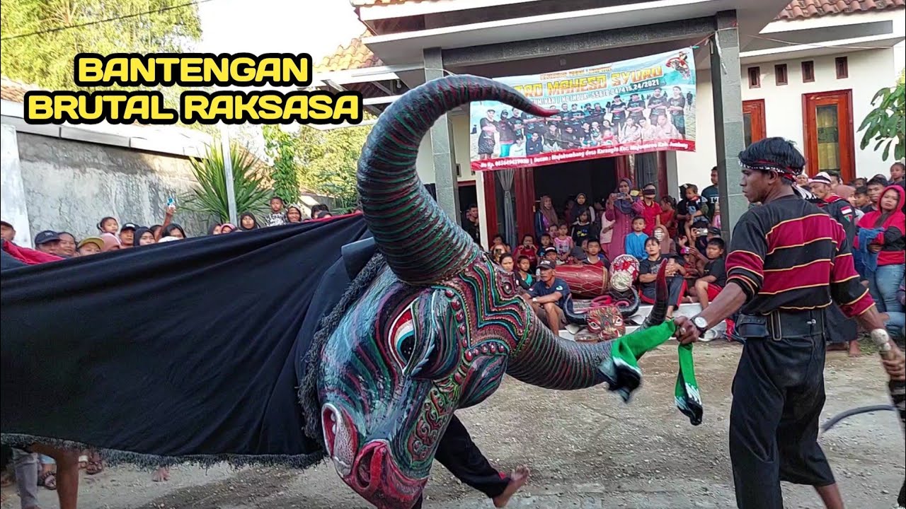 Bantengan brutal ngamuk Rojo Maheso syuro live mojokembang