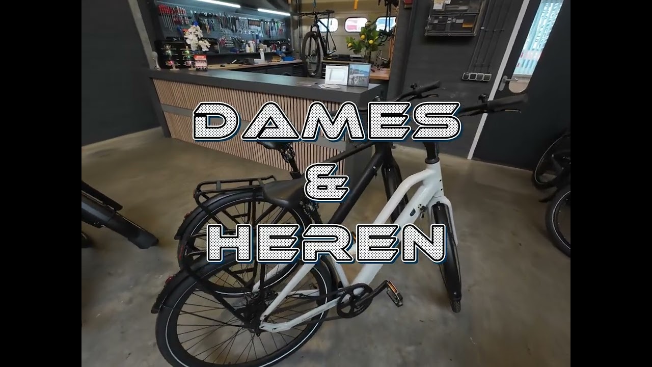 Is dit de beste electrische fiets?