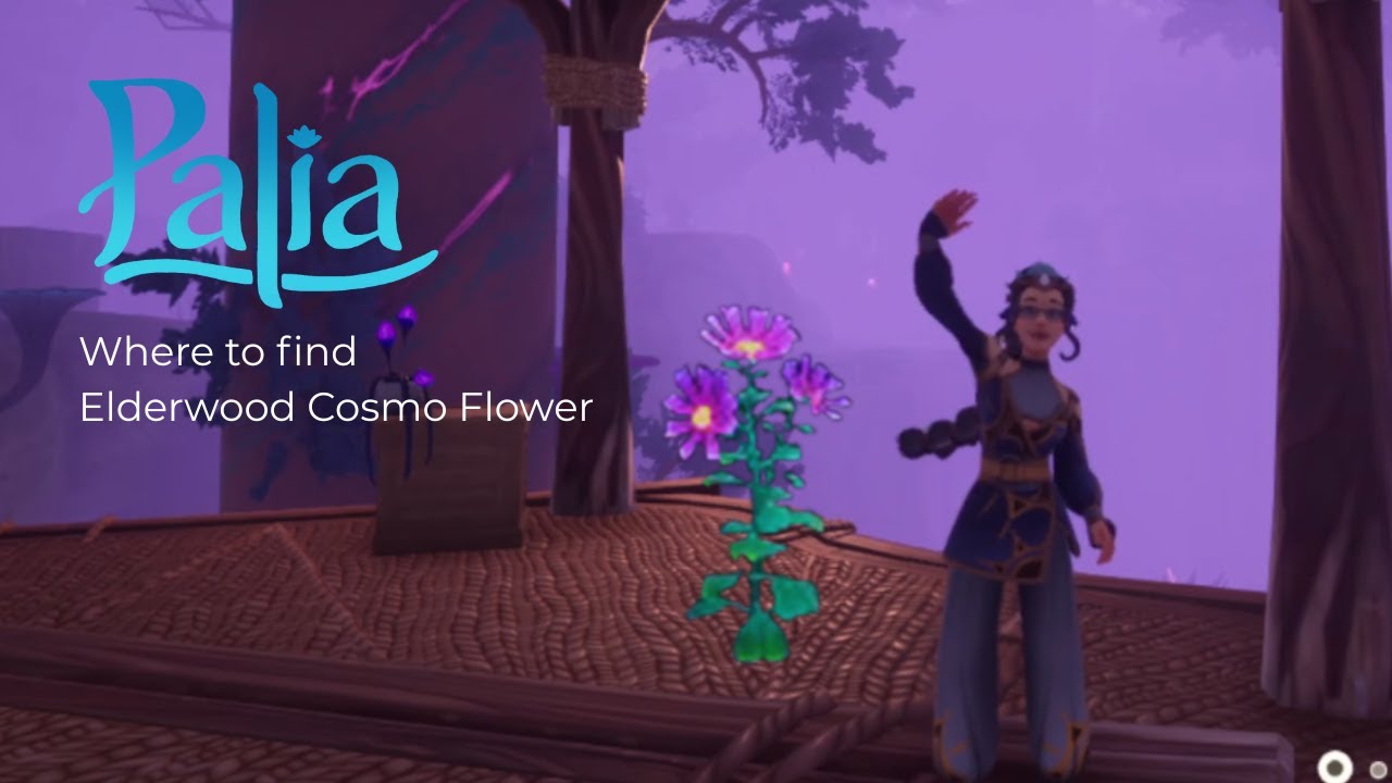 Where To Find Elderwood Cosmo Flower // Palia