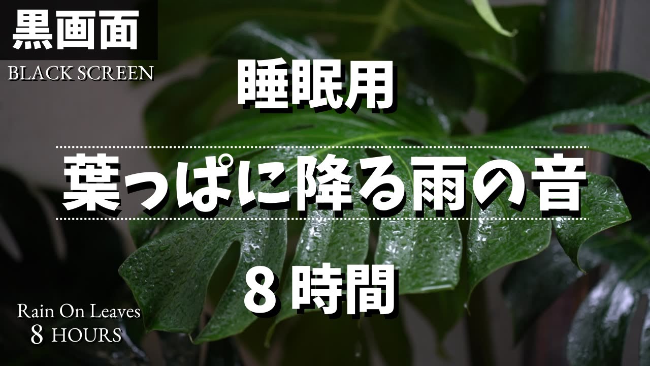 葉っぱに降る雨の音 8時間【黒画面でまぶしくない｜睡眠用BGM｜雷なし】