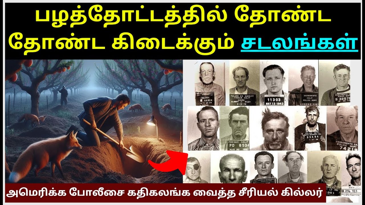 அமெரிக்கா போலீசை கதிகலங்க வைத்த சீரியல் கில்லர் | அப்படி அந்த பழத்தோட்டத்தில் என்னதான் நடந்தது ?
