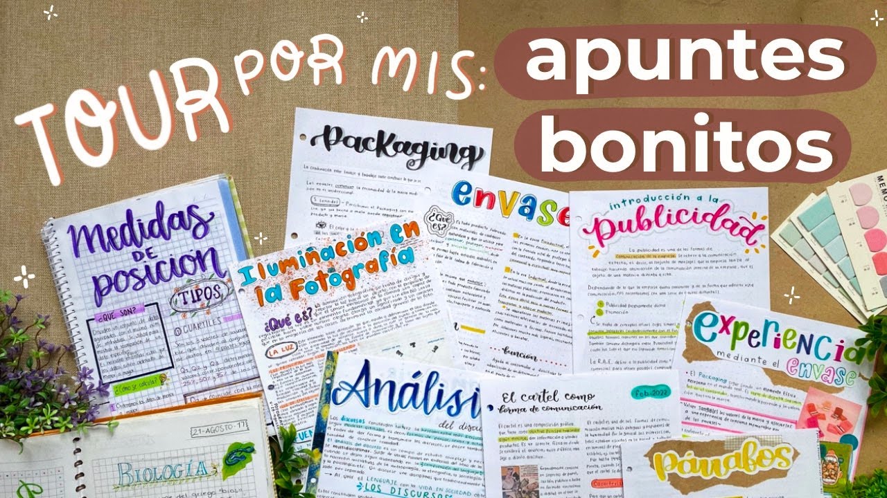 ¡Tour por TODOS mis apuntes bonitos! 🤩🌿 2017-2022 😱