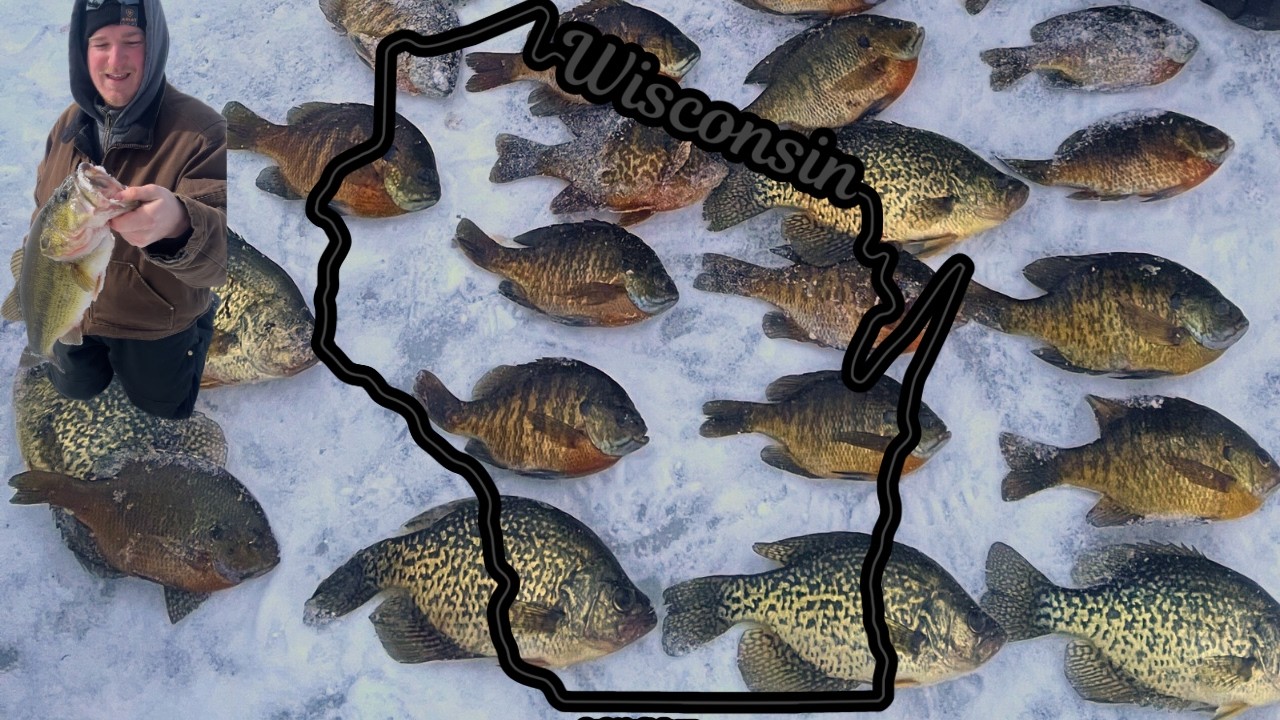 Northern Wisconsin HOT SPOT!! Crappie, Bluegills, Pike, and Bass!