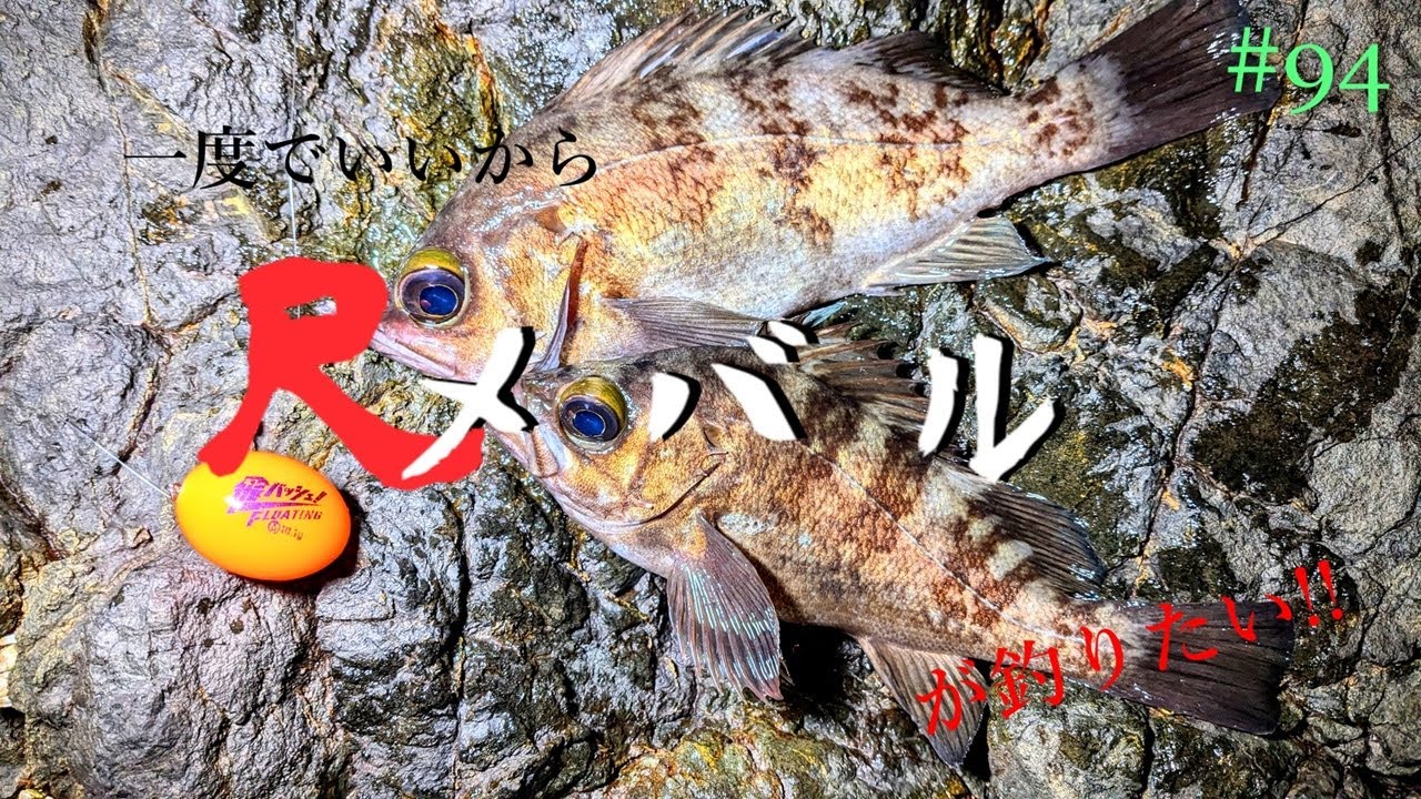 【遠投先の、かけ上がり】一度でいいから尺メバルが釣りたい!!#94【メバリング】