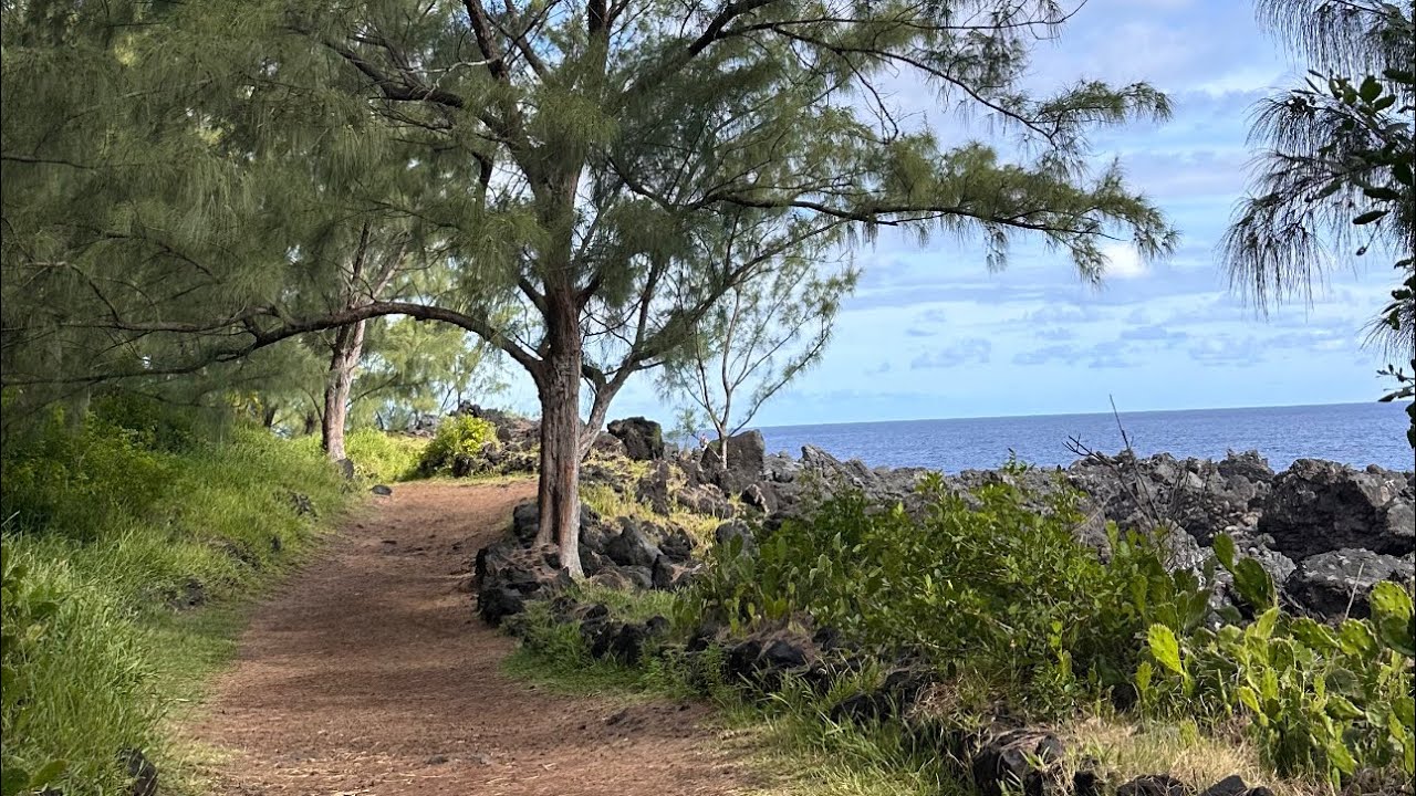 Parcours du cœur de l’Angevin dans le sud sauvage de l’île de la réunion 🇷🇪 🇷🇪🇷🇪