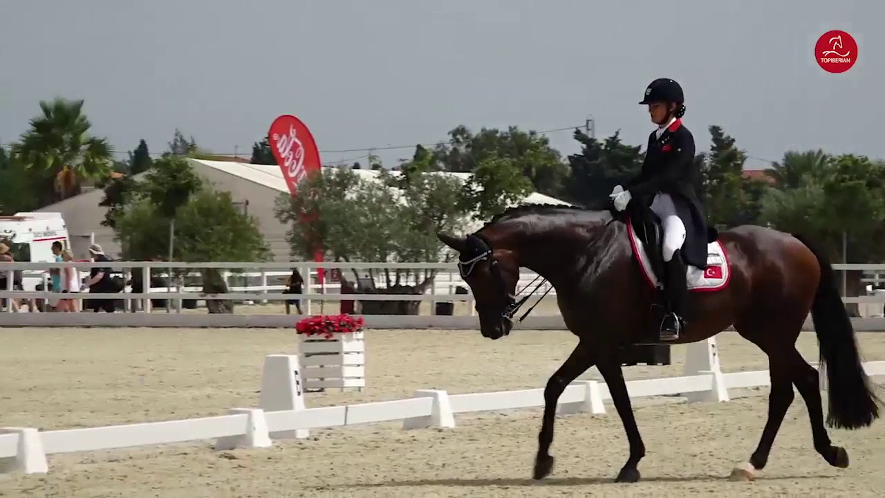 REPRISE DE DRESSAGE | Reprise Junior : Commentées par Isabelle Judet – Juge 5* Internationale