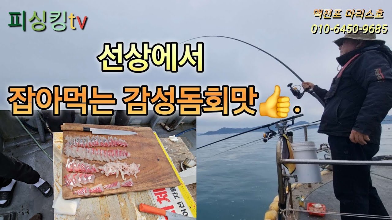 낚시대 부러지고 잡은 감성돔 회맛 👍. With 맥전포 마리스호.