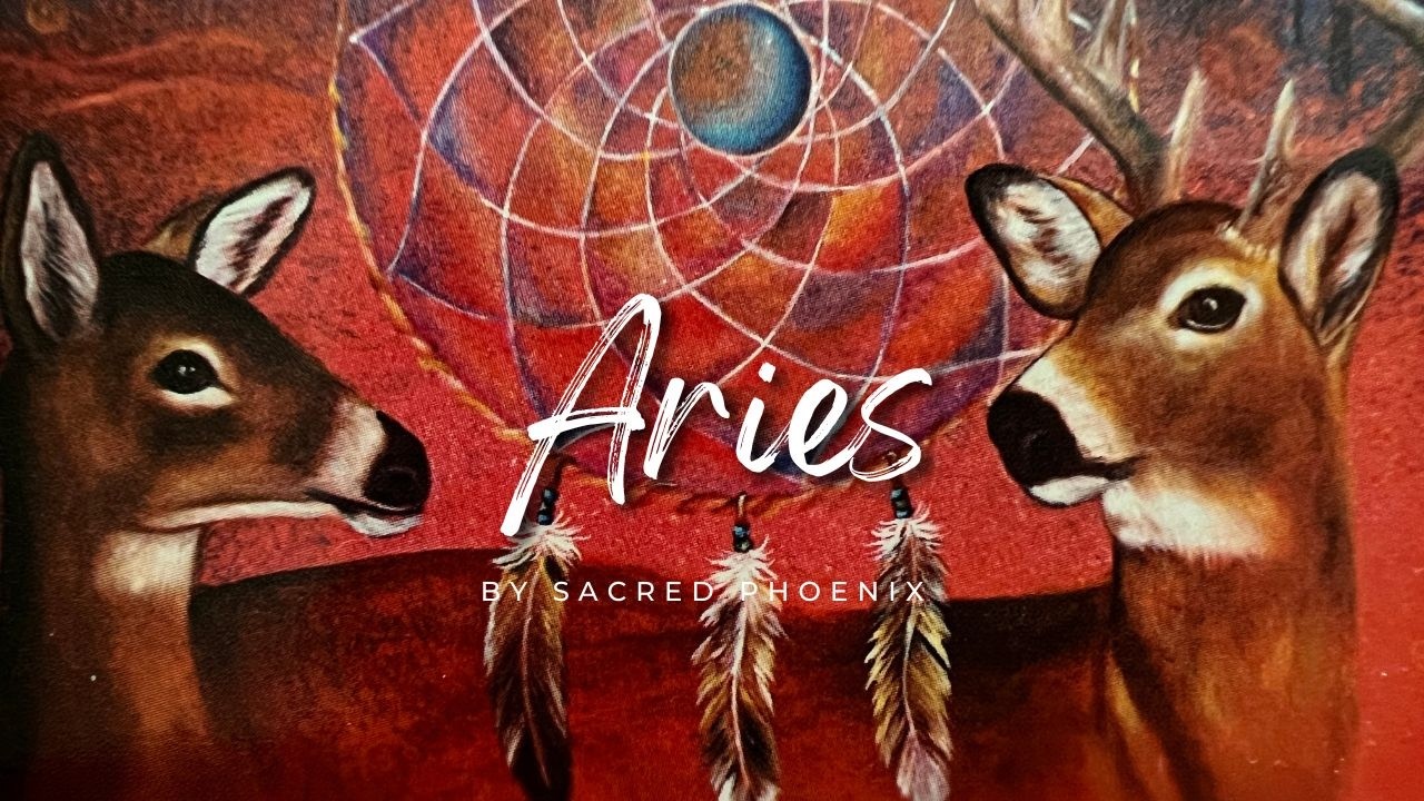 Twin Flames: ARIES - Acceptance & In Becoming A MASTER 🪷💛 🌟☄️