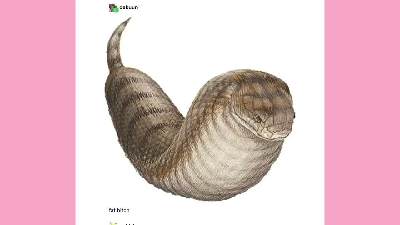 It Came From Tumblr #205 | Binge Compilation