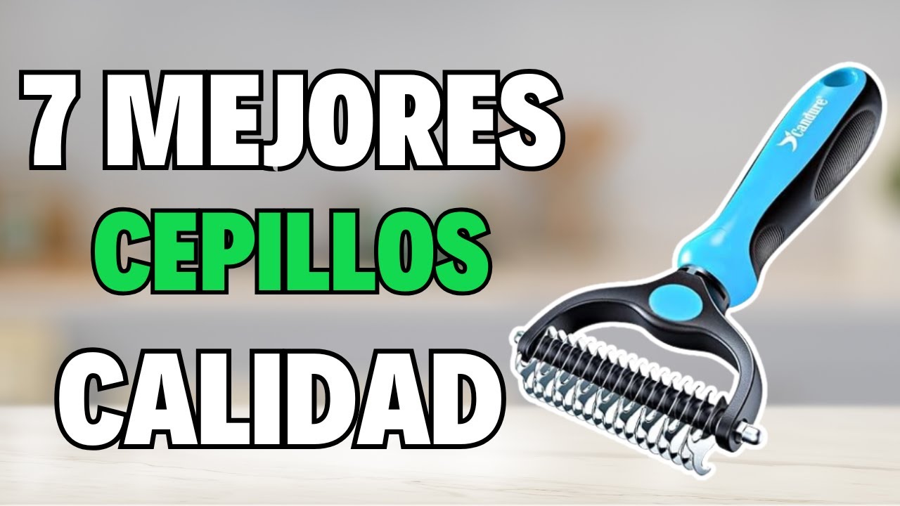 👉 Los 7 MEJORES CEPILLOS PARA PERROS de 2025 [Calidad/Precio] 💥