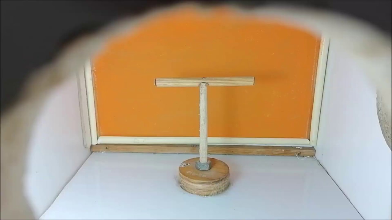 CAJÓN FOTOGRÁFICO [AVIARIO CARRILES]