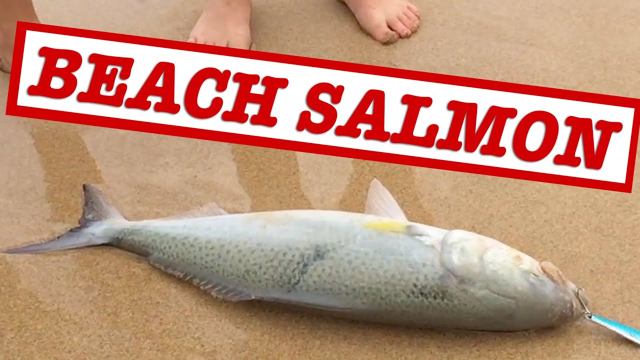 How to catch Australian Salmon off the beach (Fishing Australia)