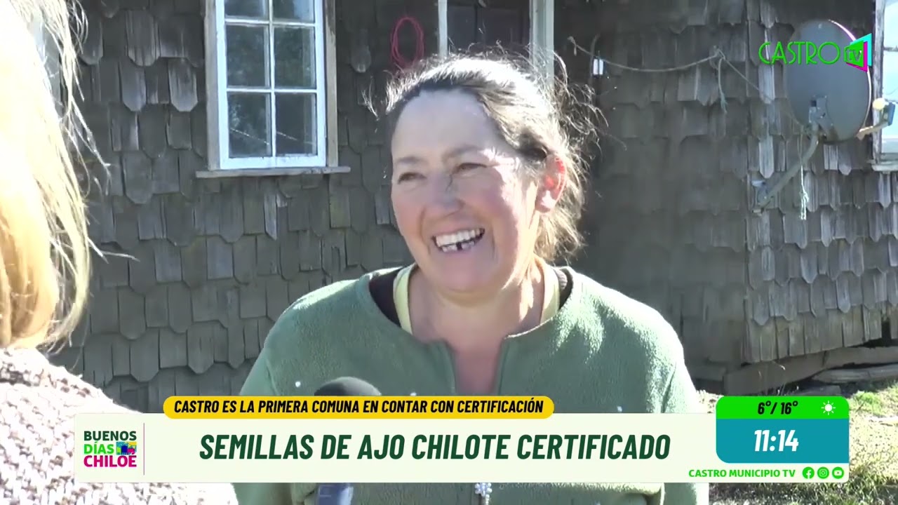 Certifican semillas de ajo chilote