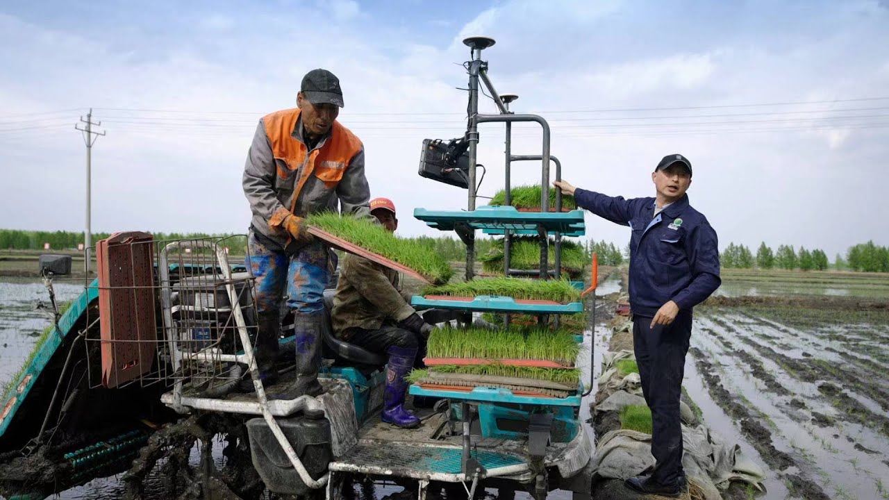 Nuestra expedición: La seguridad alimentaria trae la estabilidad | Documental