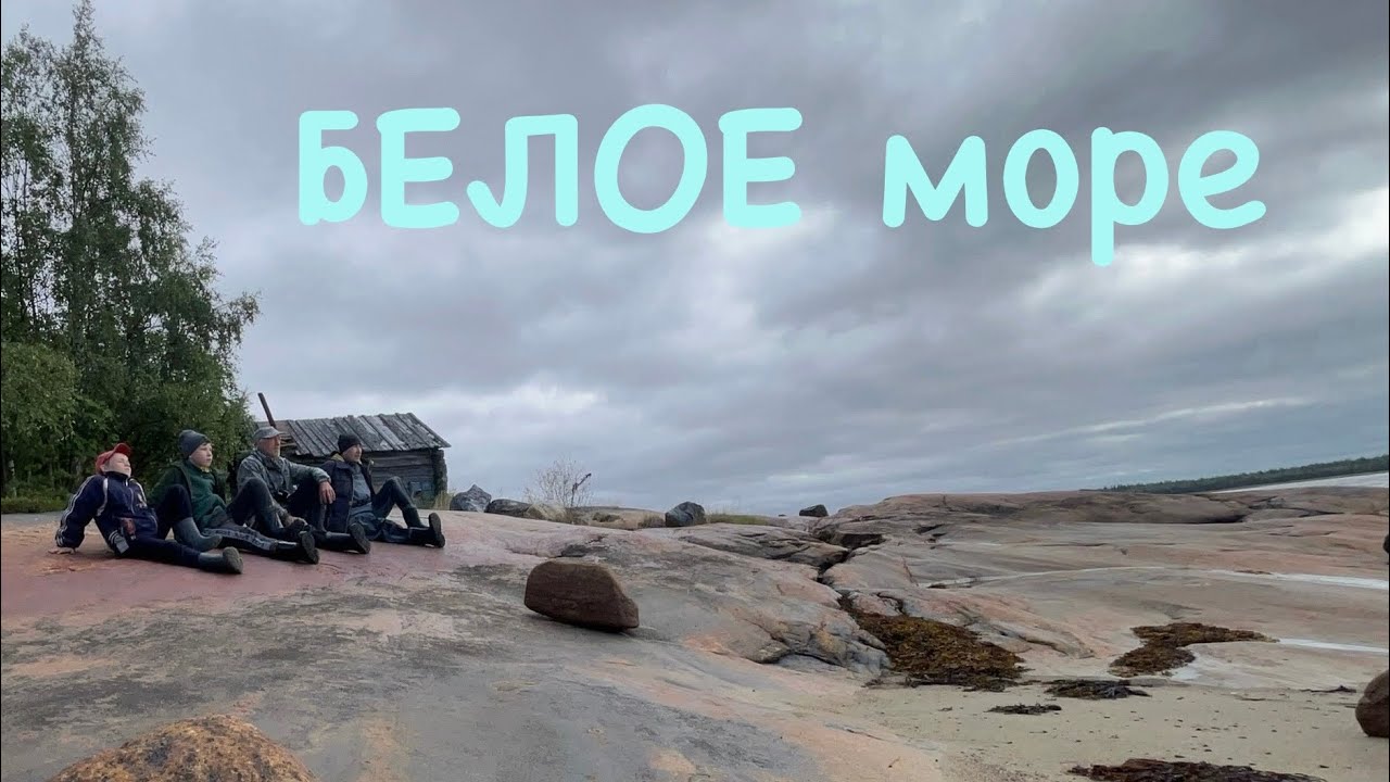 1 ноября 2024 г.