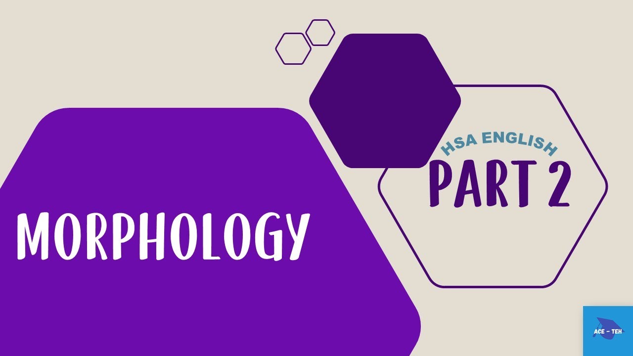 Morphology | Part 2 | English Language | HSA English Examination