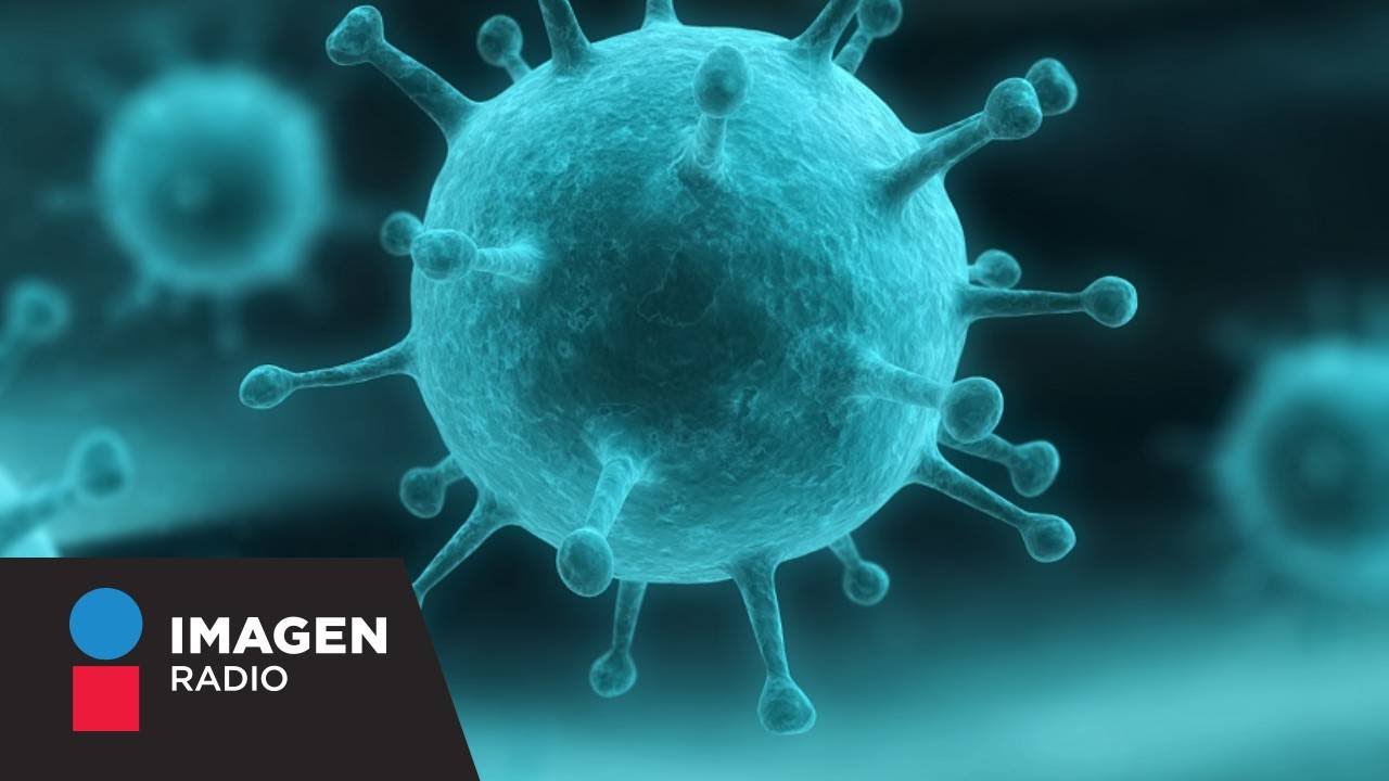 Enfermedades emergentes y reemergentes: Factores de riesgo